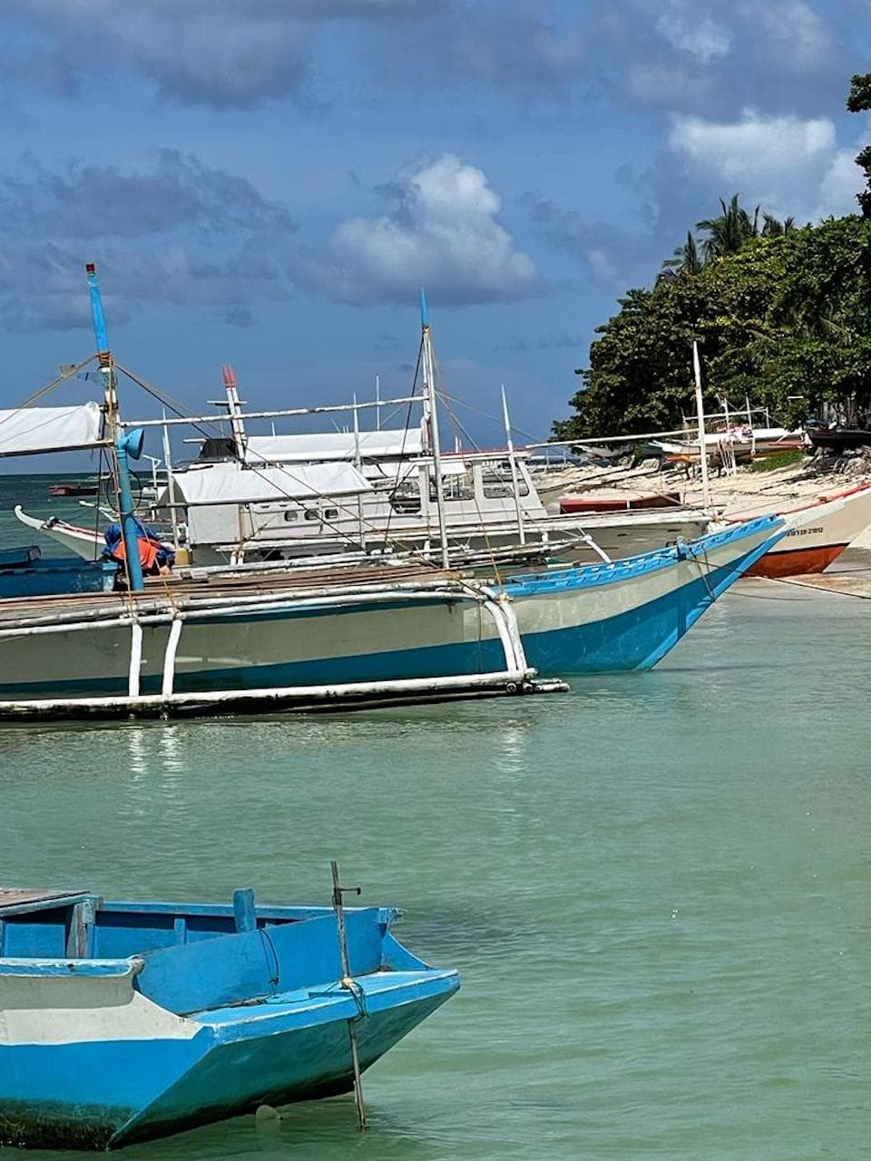 A series of docked boats